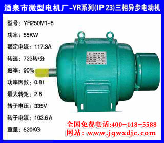 55KW �˼� YRϵ��(IP23)�����첽�綯�� YR250M1-8